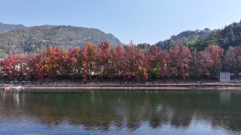 来“浙”嗨！超多优惠、超多玩法pg电子模拟器免费版这个冬季(图6)