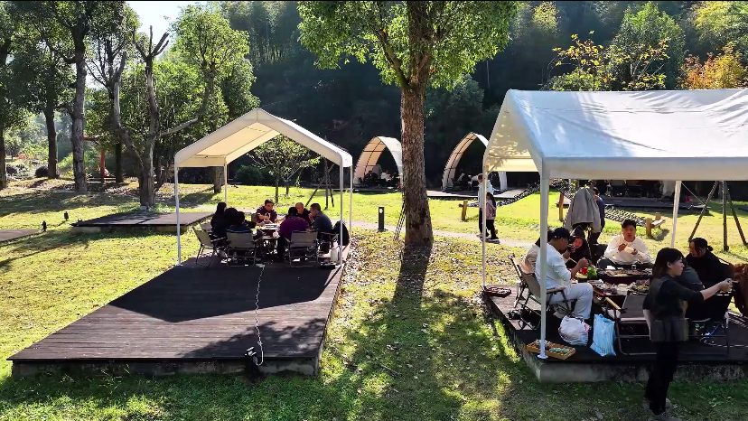 来“浙”嗨！超多优惠、超多玩法pg电子模拟器免费版这个冬季(图11)